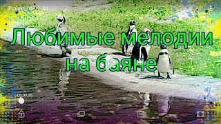 Любимые мелодии моего отца на баяне. Виктор Доценко.