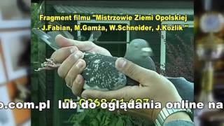 Mirosław Gamża - Leśnica Opolska