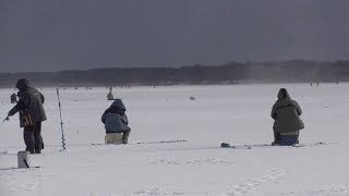 Рыбалка на ОКЕ! Приятный БОНУС!