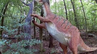 DinoPark KOŠICE Slovakia 2017 HD