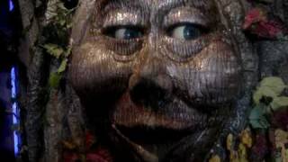 Meet Tracey Tree