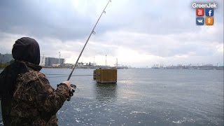 Морская рыбалка - Ловим кефаль - Sea Fishing