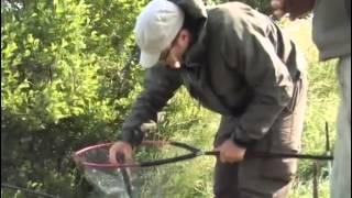 Siandien kimba Karsiu zvejyba dugninemis meskeremis 2011 LT
