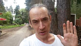 Цены Абхазия 2019. Кафе в Алахадзы / Цитрусовый совхоз. 24 июля 2019 г.