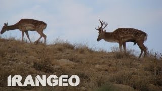 Iran | Kurdistan | Landscapes & Nature