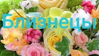 Близнецы Таро - гороскоп с 24.06 по 30.06 2019 г.