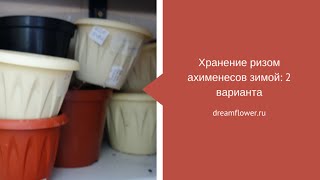 Хранение ризом ахименеса зимой: 2 варианта