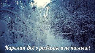 Не большой тест снегохода Ямаха Викинг  Жду мнения спецов