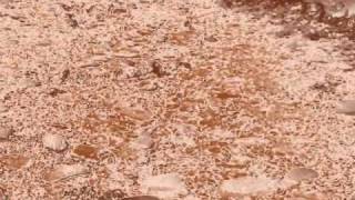 Clamoroso incidente a Bardolino conseguenze (live testimonial)