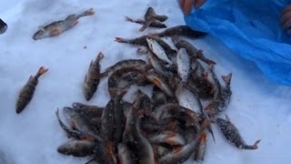 Тренировка оз. Немнюжское, спортивная мормышка.
