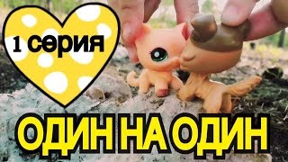 ОДИН НА ОДИН 1 серия/ СЕРИАЛ ПЕТШОПЫ