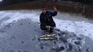 Зимняя рыбалка-САМАЯ БОЛЬШАЯ МОЯ ЩУКА НА ЖЕРЛИЦЫ