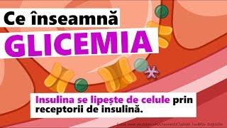 GLICEMIA. Cum acționează insulina și zahărul în corpul nostru