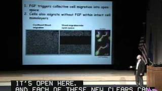 Shotgun siRNA Perturbation Dissect Growth Factor Triggered Proliferation Migration Signaling Systems