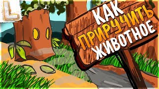 КАК ПРИРУЧИТЬ ЖИВОТНОЕ - Swords & Souls Neverseen 6