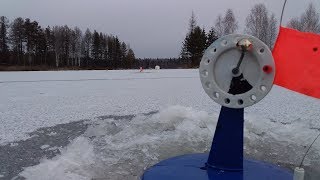 ЗИМНЯЯ РЫБАЛКА. ПЕРВЫЙ ЛЁД и первые ЩУКИ НА ЖЕРЛИЦЫ. Рыбалка на жерлицы.