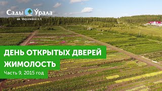 Часть 9. Жимолость. Кассеты. День открытых дверей в Питомнике Сады Урала 23.08.2015