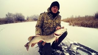 Жерлицы. Зимняя рыбалка. Ловля щуки на жерлицы. Мото рыбалка. Щука.