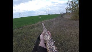 ОТКРЫТИЕ ОХОТЫ НА ЗАЙЦЕВ 2018-2019. ПЕРВЫЙ ЗАЯЦ СЕЗОНА. ЧЕРНОТРОП.The hunting of the hare