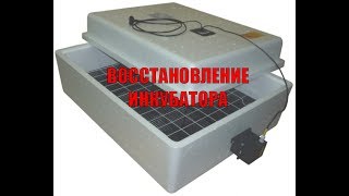 Инкубатор Наседка. Восстановление инкубатора/жизнь в деревне