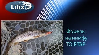 Форель на нимфу TOIRTAP (Рыбалка в Германии)