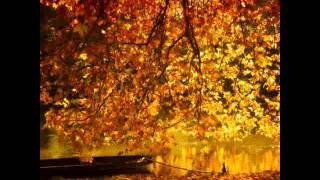 Осенняя любовь...Autumn love ...