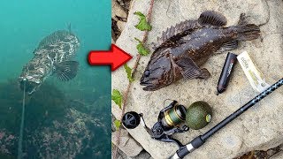 Catch and Cook BOILED Fish ** Underwater Fishing Camera