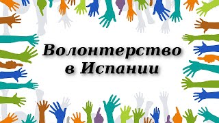 Волонтерство в Испании