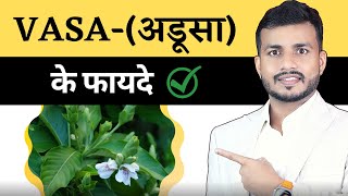 283:Blood Ke Liye Duniya Ki Best Dawa|| खून की कोई भी बीमारी हो ये दवा चमत्कारी है।