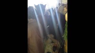 Girl masterbating at rave