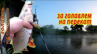 Ловля голавля спиннингом на перекате. Рыбалка на реке Жиздра.