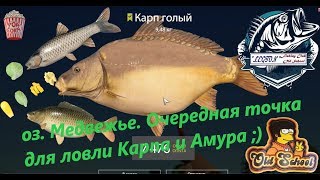 Русская Рыбалка 4. оз. Медвежье. Очередная точка для ловли Карпа и Амура.