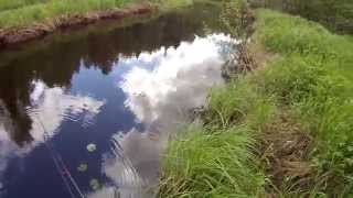 Ловля щуки на реке 2015 fishing