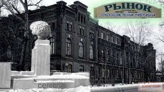 Торговый день в Ряжске