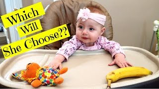 Baby Toys Vs Random Things