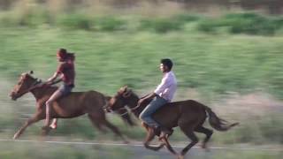 Horse Race. Thapkarwadi Khadaklat. ЛОШАДЬ.PFERD RACING.ঘোড়া রেসিং. घोड़े की दौड़.