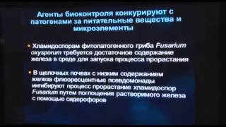 Д. Мавроди Лекция #1 "Микробные биопестициды для борьбы с возбудителями болезней и..."