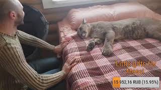 Прямой эфир. Воскресенье с Месси и Ичель