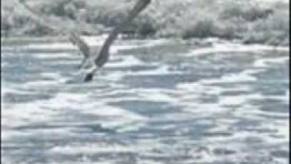 ΝΑΣΙΑ ΚΟΝΙΤΟΠΟΥΛΟΥ - Να τρέχουμε πάνω στα κύματα