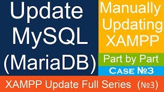 How to Update MySQL (MariaDB) in XAMPP Local Server