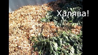 Халявный корм и субстрат!