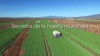 Secretos de la huerta murciana