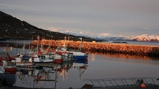 Ловля палтуса Норвегия halibut norway