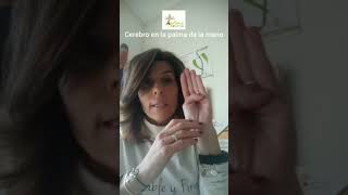 Cómo explicar a tus hijos el funcionamiento del cerebro. El cerebro en la palma de la mano