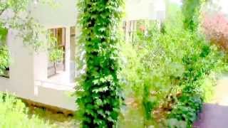 8. Турция. Отель Club Gunes Garden 4*
