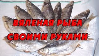 Приготовление вяленой рыбы своими руками в тузлуке. Как вялить рыбу в домашних условиях