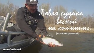 Ловля судака весной на спиннинг. Джиг на Ахтубе.