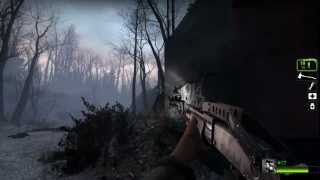 Left 4 Dead 2 - Realism Expert Solo - Blood Harvest - C12