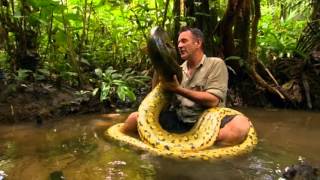 The Official Nigel vs Anaconda