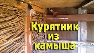 Строительство теплого курятника из камыша (укр.)